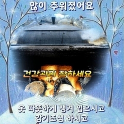 피드에 업로드 된 이미지