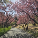 멤버 프로필