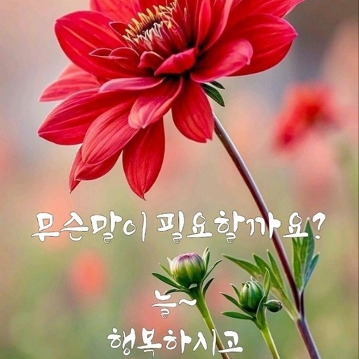 피드 이미지