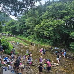 피드에 업로드 된 이미지