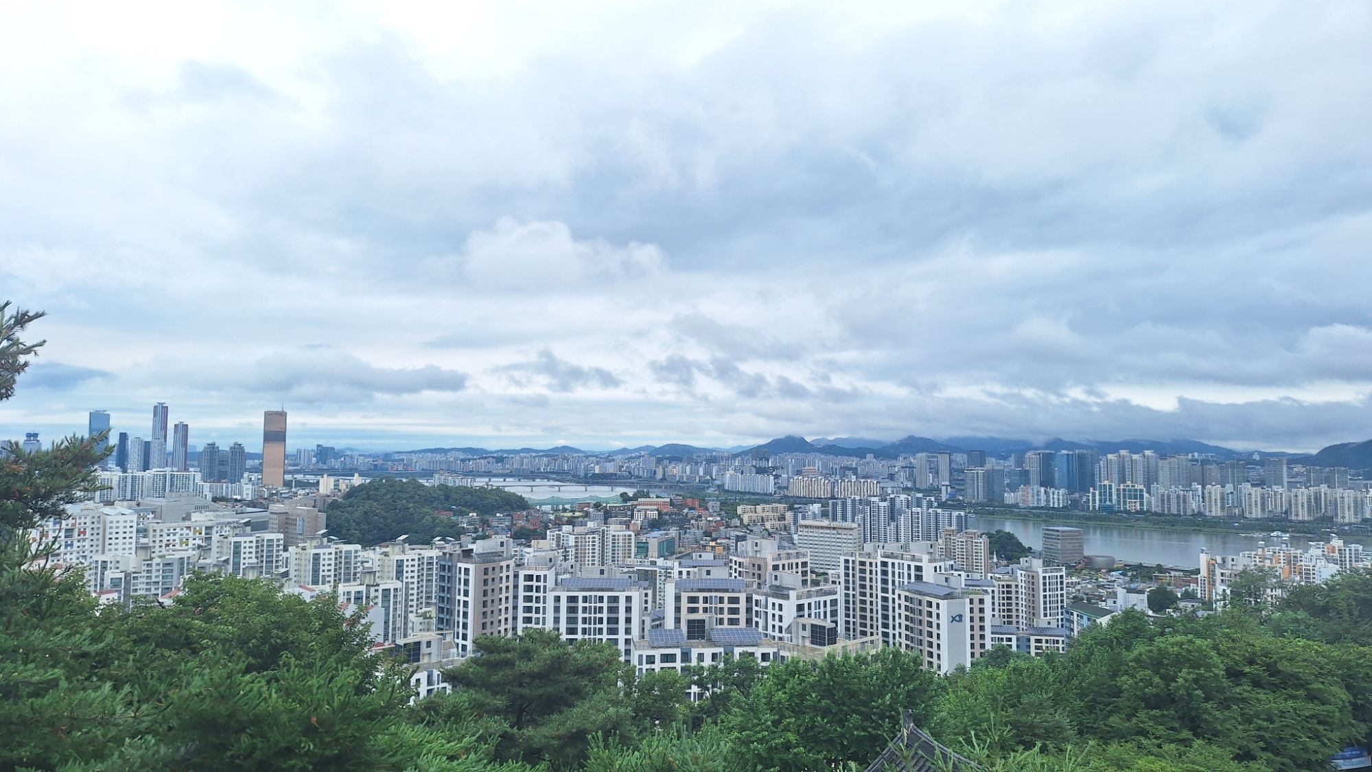 피드 이미지