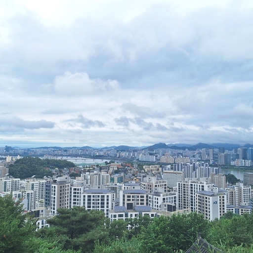 피드 이미지