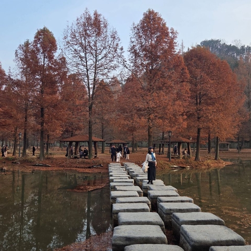 ํผ๋ ์ด๋ฏธ์ง