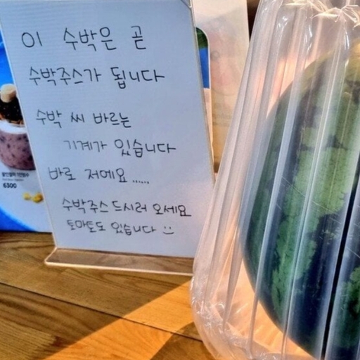 피드 이미지