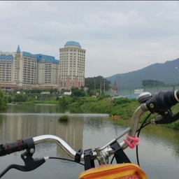 피드에 업로드 된 이미지