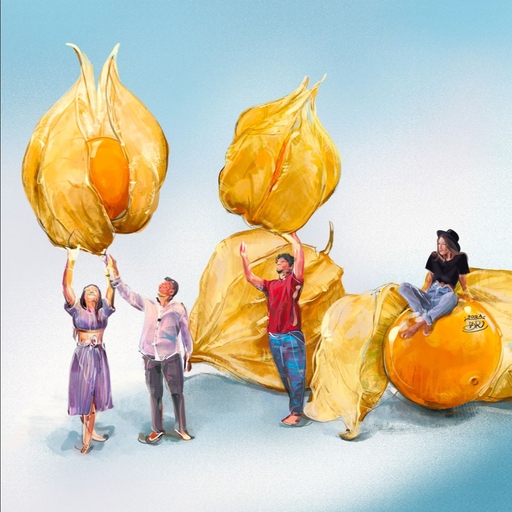 피드 이미지