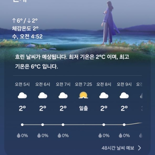 피드 이미지