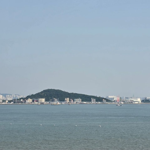 피드 이미지