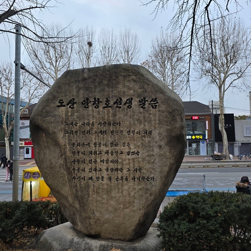 피드 이미지