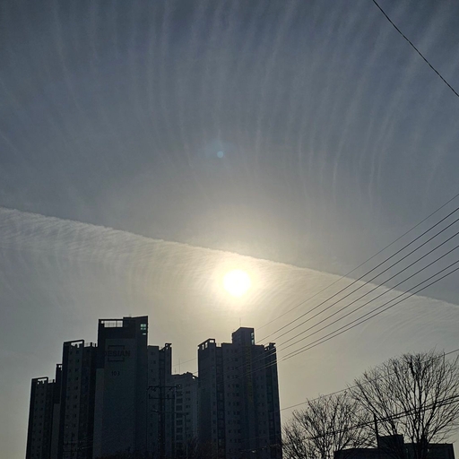 피드 이미지