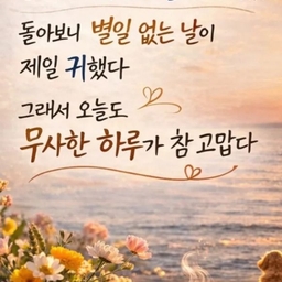피드에 업로드 된 이미지
