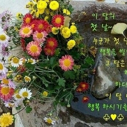 피드에 업로드 된 이미지