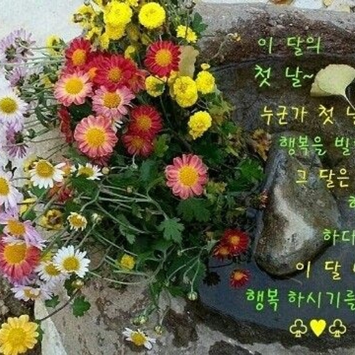 피드 이미지