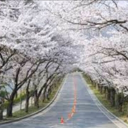 피드에 업로드 된 이미지
