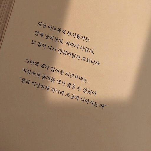 피드 이미지
