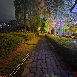 피드에 업로드 된 이미지