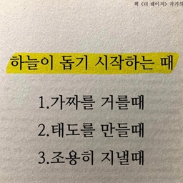 피드에 업로드 된 이미지