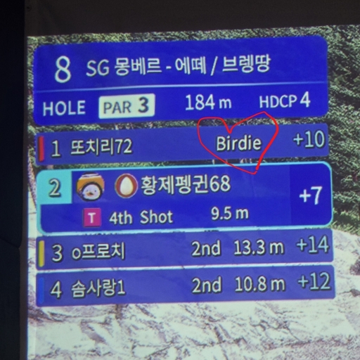 피드 이미지