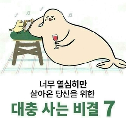피드에 업로드 된 이미지
