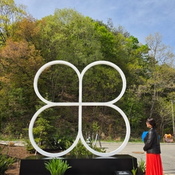 피드에 업로드 된 이미지