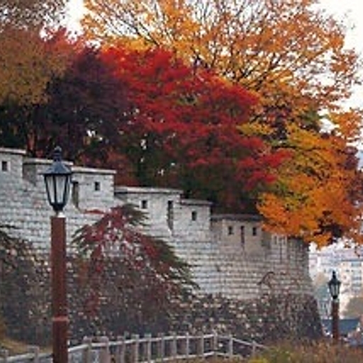 ํผ๋ ์ด๋ฏธ์ง