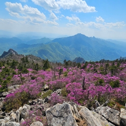 피드에 업로드 된 이미지