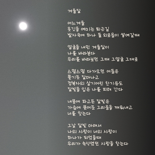 피드 이미지