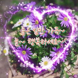 피드에 업로드 된 이미지