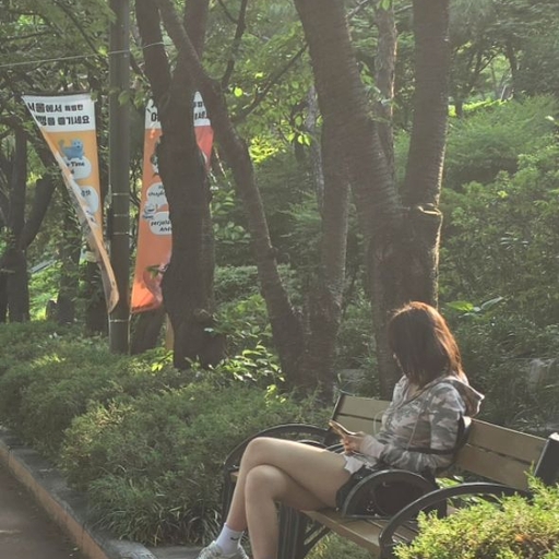 피드 이미지