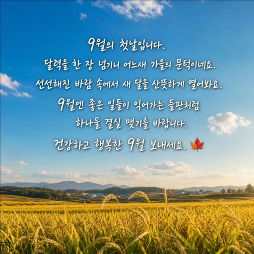 피드 이미지
