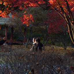 피드에 업로드 된 이미지