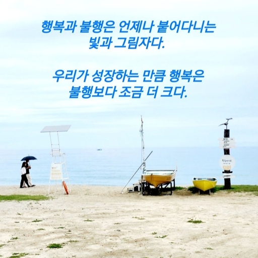 피드 이미지