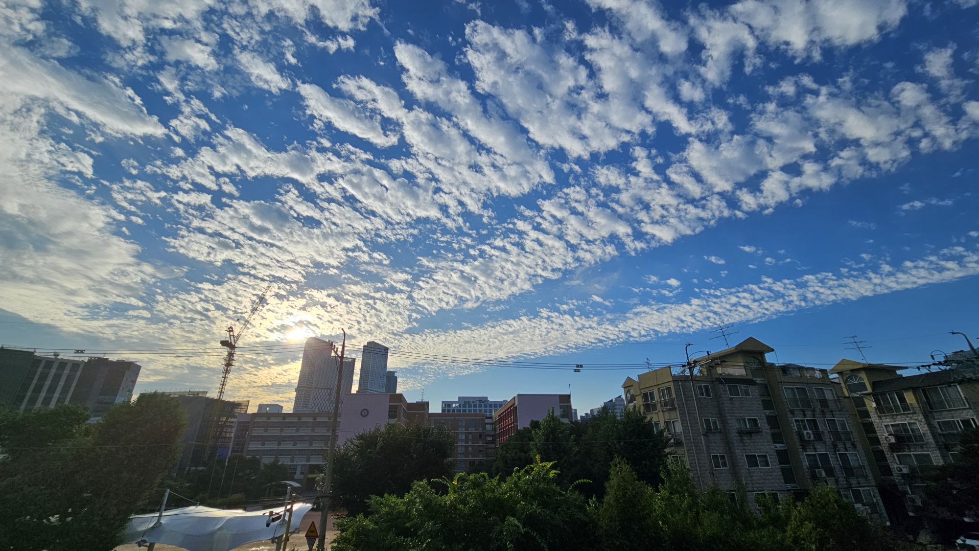 피드 이미지