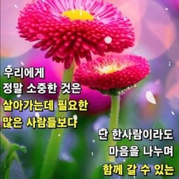 ํผ๋์ ์
๋ก๋ ๋ ์ด๋ฏธ์ง