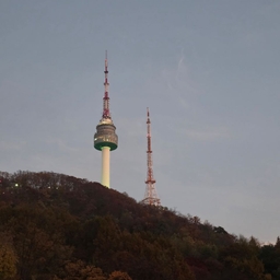 피드에 업로드 된 이미지