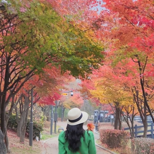 피드 이미지