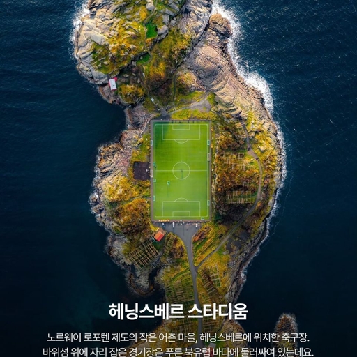 피드 이미지