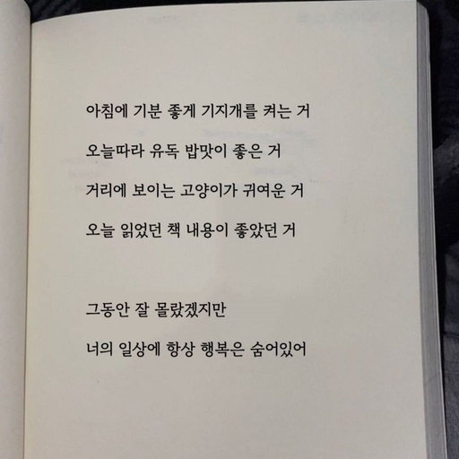 피드 이미지