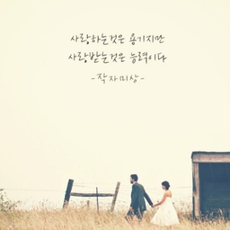 피드에 업로드 된 이미지