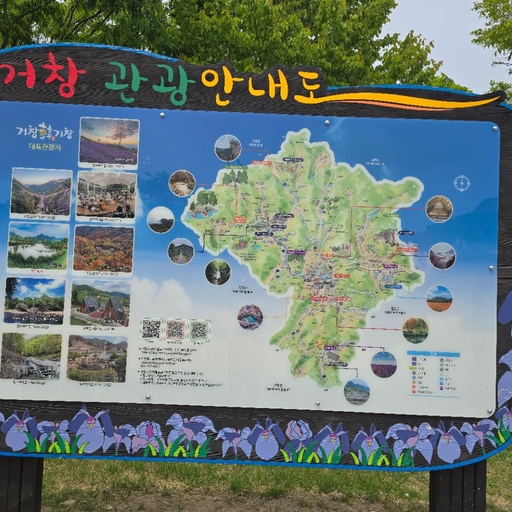 피드 이미지