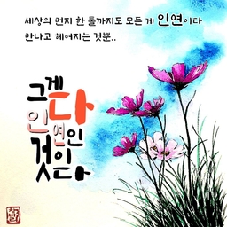 피드에 업로드 된 이미지