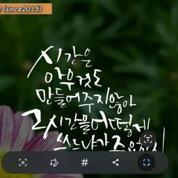 피드에 업로드 된 이미지