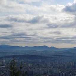 피드에 업로드 된 이미지