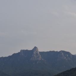 피드에 업로드 된 이미지