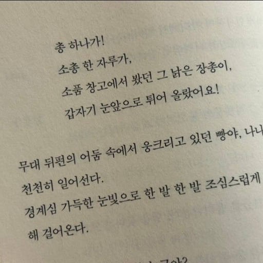 피드 이미지