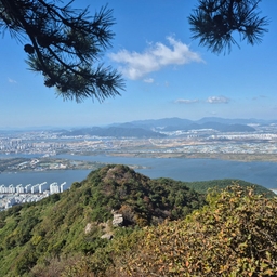 피드에 업로드 된 이미지