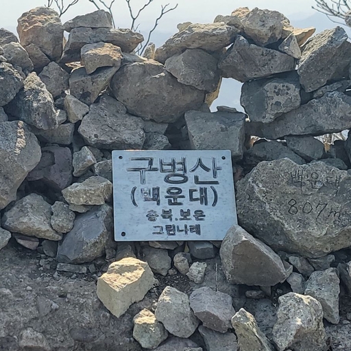 피드 이미지