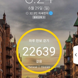 피드에 업로드 된 이미지