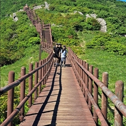피드에 업로드 된 이미지