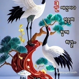 피드에 업로드 된 이미지